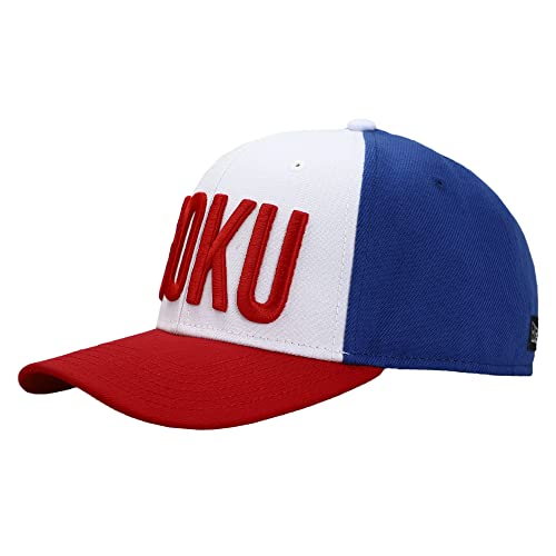 Dragonball Z Goku Embroidered Pre-Curved Bill Snapback 196179479850 –